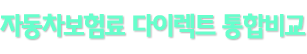�ڵ��������񱳰�������Ʈ ���պ� �غ���
